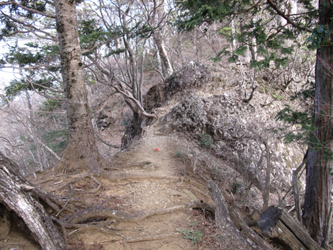 20190108hike (400)